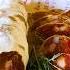Salami Ventricina или как сделать домашнюю ароматную салями дома БЕЗ стартовых культур