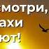 Молись и смотри как страхи исчезают Торсунов лекции