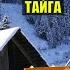 НАШЛИ ЗОЛОТО в ГЛУХОЙ ТАЙГЕ НАХОДКА ЧЕРНАЯ МЕТКА в ЛЕСУ ИСТОРИИ из ЖИЗНИ ПОХОД АУДИОКНИГА СЕРИАЛ 3