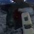 10 Mil VS WATER BUFFALO The Hunter Call Of The Wild