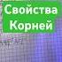 Квадратные корни корни в математике корни огэкорни огэматематика егэматематика разборогэ егэ
