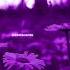 X Remix Nicky Jam X J Balvin Lyrics Trending Slowed Speed Up