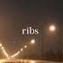 Ribs Lorde Slowed