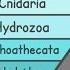 Classification