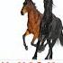 Lil Nas X Old Town Road Ft Billy Ray Cyrus Ringtone IPhone 2019