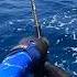 The Sound Every Angler Loves Fishing Fish Pescaria Nature Sea Popping Catchandrelaese