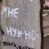 Культурный Вандализм Shorts