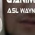 Asl Wayne G Animat Sarvar Pro Remix