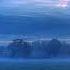 Gentle Silence Edgar Tuniyants
