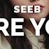 Seeb Before You Go Lyrics