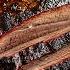 How To Cook Beef Brisket