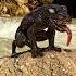 Symbiotes Best Transformation In Venom Movies