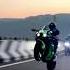 Crazy Whilee On Zx10r Shorts Viral Whilee Video Trending Jannustuntz Valourrider