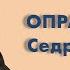 ОПРАВДАН Седрик судья Голос времени