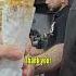 The Best Shawarma In Syria