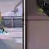 Try To Friend Fortuna 812 Valorant Frag Movie