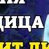 20 июня ВКЛЮЧИ 1 РАЗ И ИСПОЛНИТСЯ ЛЮБАЯ ПРОСЬБА Сильная молитва Богородице о помощи Православие