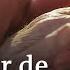 Cómo Afectan Las Caricias Nuestra Salud Mental Y Física DW Documental