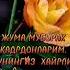 ЖУМА МУБОРАК JUMA MUBORAK SHORTS BETA