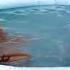 Abg Bru Tumbuh Mandi Sexi