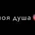 Околдован тобою я моя тигрица моя душа
