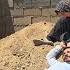Hussein S Family S Plan To Defeat Arbab A Turning Point In Zagros