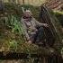 Built A Shelter On A Fallen Tree For Survival