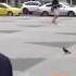 Владимир Войнович на Радио Свобода