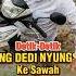 Detik Detik Kang Dedi Mulyadi Nyungsep Ke Sawah Ngakak Kangdedymulyadi Dedimulyadi