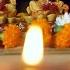 Bokeh Shot Burning Diya With Indian Gods Ganesh Ji And Laxmi Indian Stock Footage Knot9