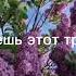 Танцуй если знаешь этот тренд 2025 года