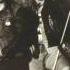 Sleeze Beez Stranger Than Paradise