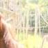 The Smiling Orangutan Courtesy Channel Nine News