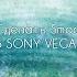 TUTORIAL Как сделать Smooth Zoom в Sony Vegas Pro Saphire
