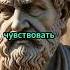 Тишина которая говорит громче слов
