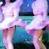 AI DOLLS