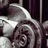 Dorian Yates Blood And Guts Motivation