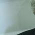 Jean Jacques Sempé Little Nicholas Creator And Illustrator Dies Aged 89