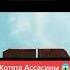 котята Ассасины