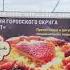 Дружба народов Южного Дагестана Попурри