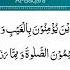 ENGLISH ARABIC LUGANDA SULAT BAQARA AYA 3