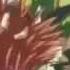 Hunter X Hunter AMV