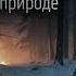 КРУШЕНИЕ СИЛЬНАЯ ИСТОРИЯ ВЫЖИВАНИЕ В ДИКОЙ ПРИРОДЕ