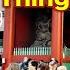 Japan Has Changed The 30 Worst Tourist Behaviors In Japan Stop Doing This