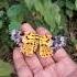 Rescued Butterfly From Spider Web Homegardeningnir Butterfly Spiderweb Rescue