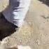 Police Bodycam Shows Parkour Style Foot Chase