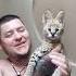 Happy Birthday Serval У Сервала сегодня день рождение принимаем поздравления сервал каракал