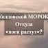 Колдовской морок Откуда ноги растут