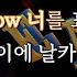 SURRENDER 서렌더 이창섭 LEE CHANGSUB 가사 Lyrics