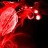 BEAUTIFUL AGONY JMJ 0KL3Y Rework